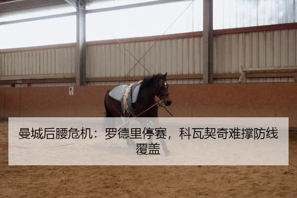 曼城后腰危机：罗德里停赛，科瓦契奇难撑防线覆盖