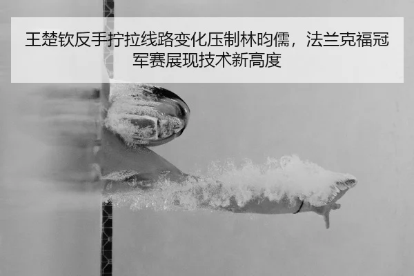 王楚钦反手拧拉线路变化压制林昀儒，法兰克福冠军赛展现技术新高度